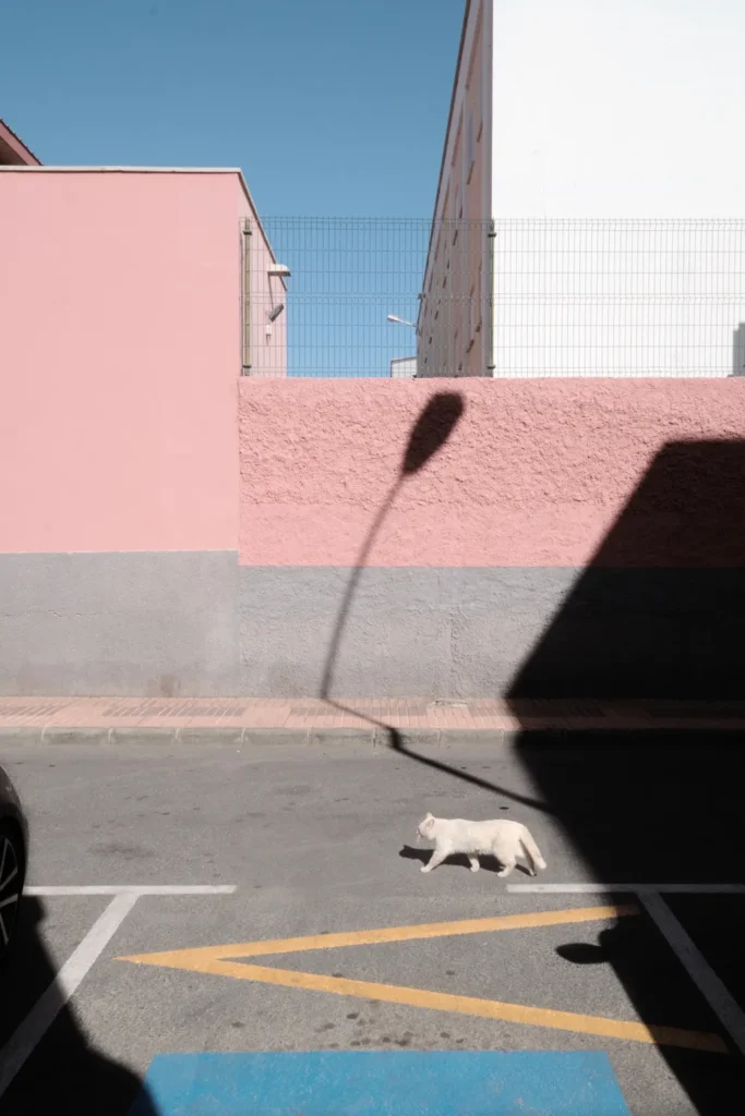 Guido Klumpe Morning Walk