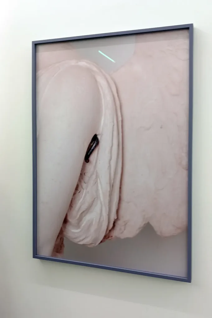 Valentina Pini: Décorps – Eröffnung in der Galerie Lullin + Ferrari