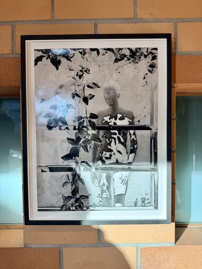 Vernissage und Künstlergespräch Haus der Immoblien Mona Kuhn Mirjam Cavegn Felix Eichkorn