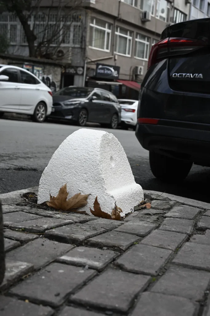 Jonas Fries Car Stopper