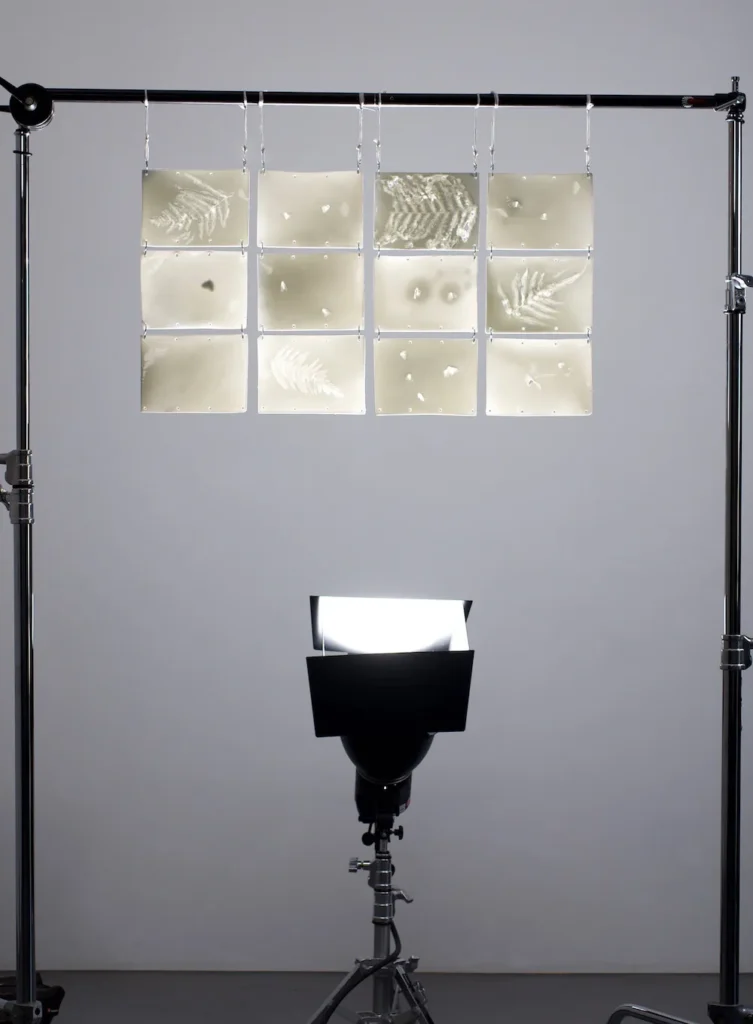 Jonas Fries Future Fossils Porzellan
