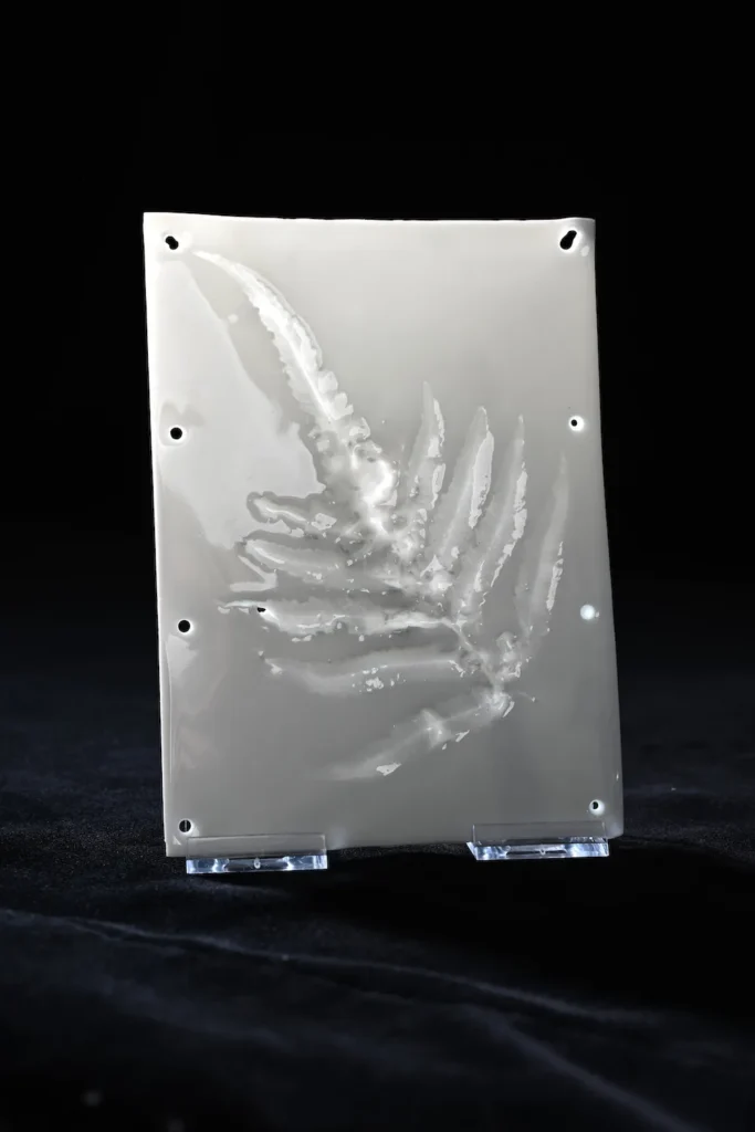 Jonas Fries Future Fossils Porzellan Ansicht 3