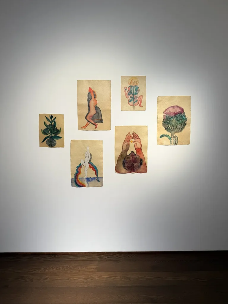 Sandra Vásquez de la Horra - Healing the Tree - Galerie Haas Zürich