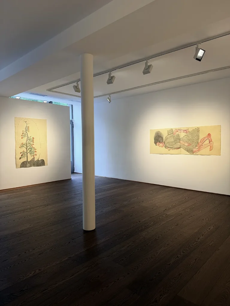 Sandra Vásquez de la Horra - Healing the Tree - Galerie Haas Zürich