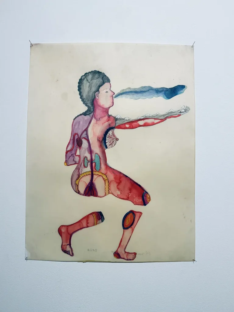 Sandra Vásquez de la Horra - Healing the Tree - Galerie Haas Zürich