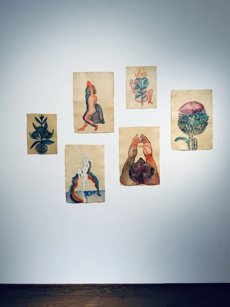 Sandra Vásquez de la Horra - Healing the Tree - Galerie Haas Zürich