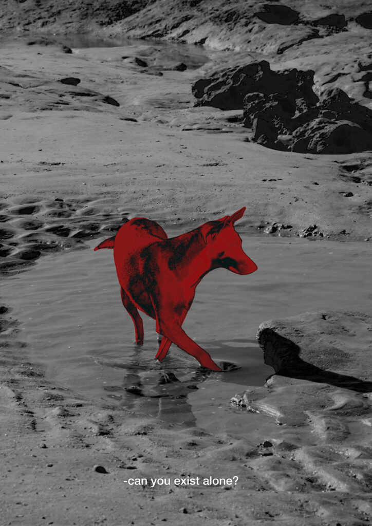 Can You Exist Alone? 2024–2025 Digital photo manipulation, archival pigment print 24 × 32 cm, 5 Edition