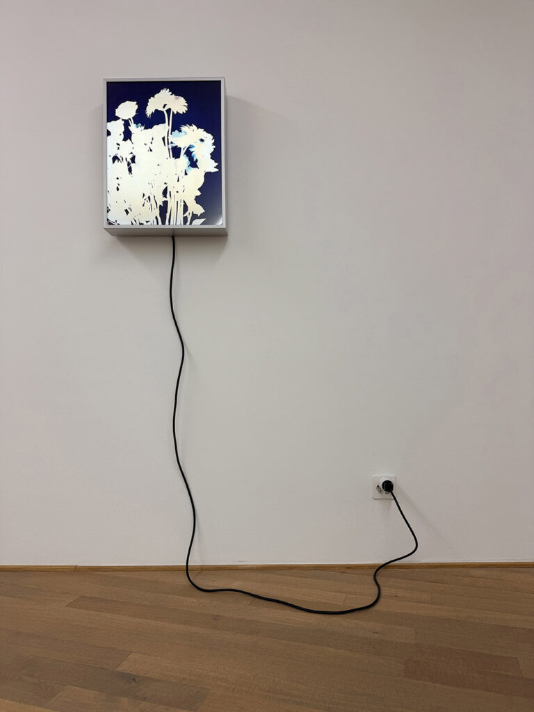 Opening: Flowers Mai 36 Galerie