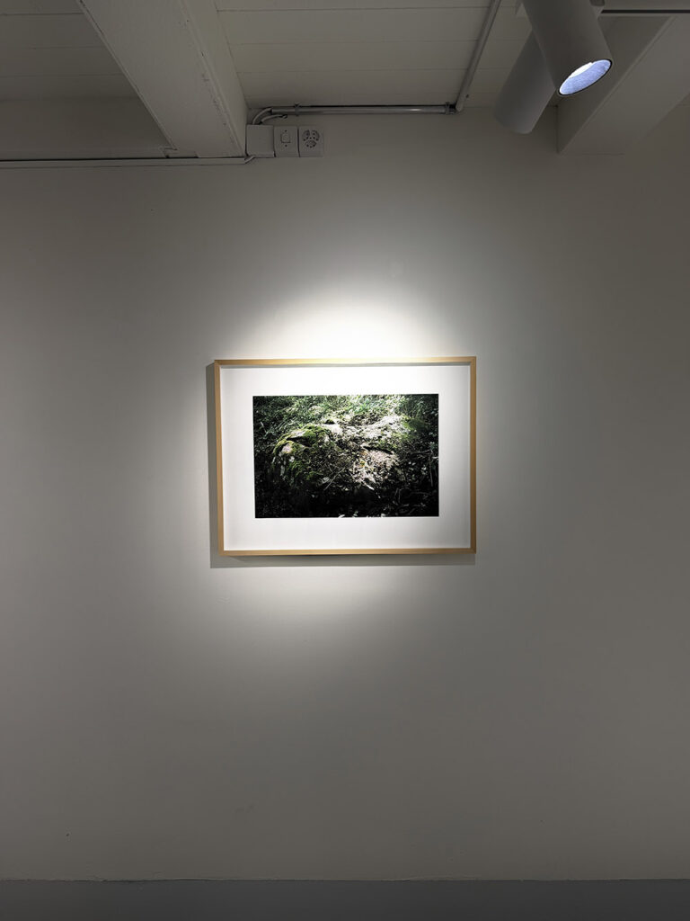 Vernissage Einzelausstellung von Deimantas Narkevičius Pascal Robert Gallery