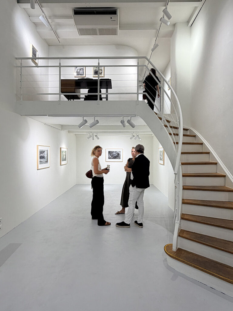 Vernissage Einzelausstellung von Deimantas Narkevičius Pascal Robert Gallery