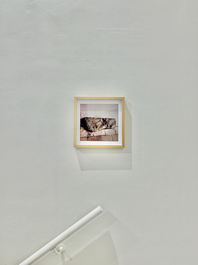 Vernissage Einzelausstellung von Deimantas Narkevičius Pascal Robert Gallery