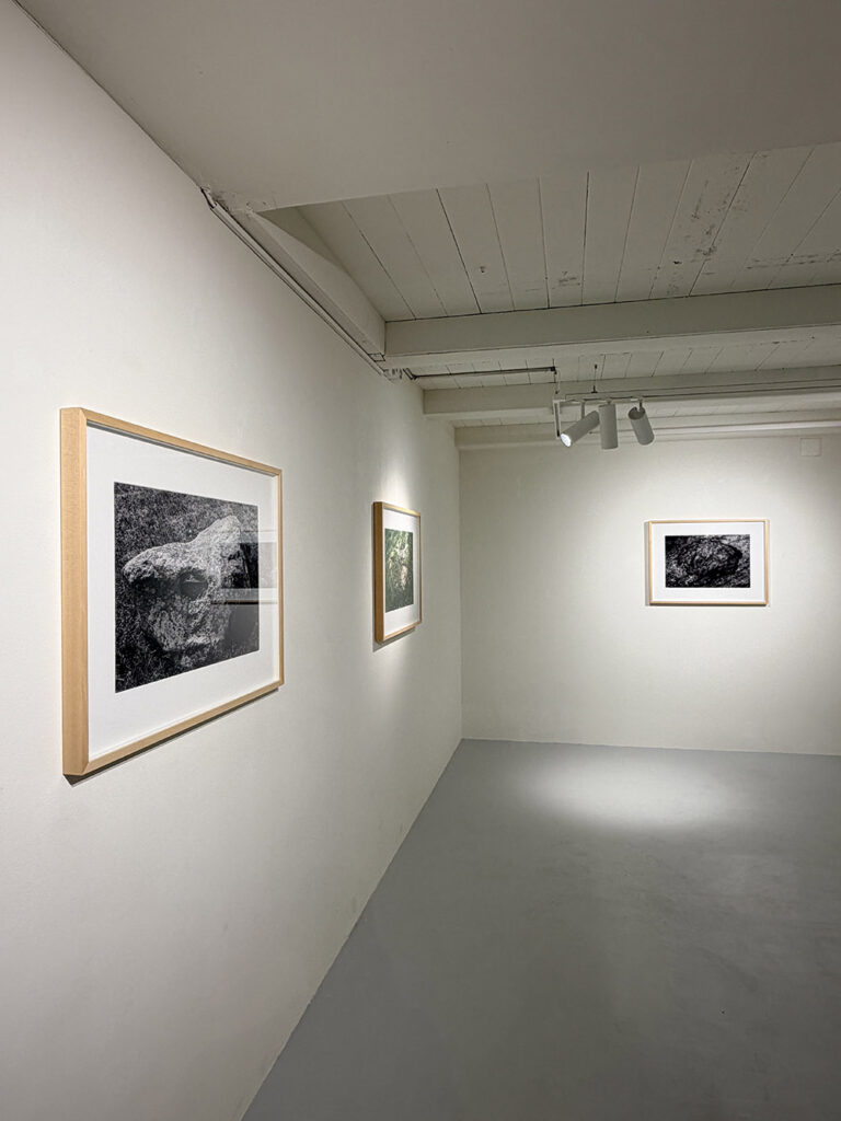 Vernissage Einzelausstellung von Deimantas Narkevičius Pascal Robert Gallery