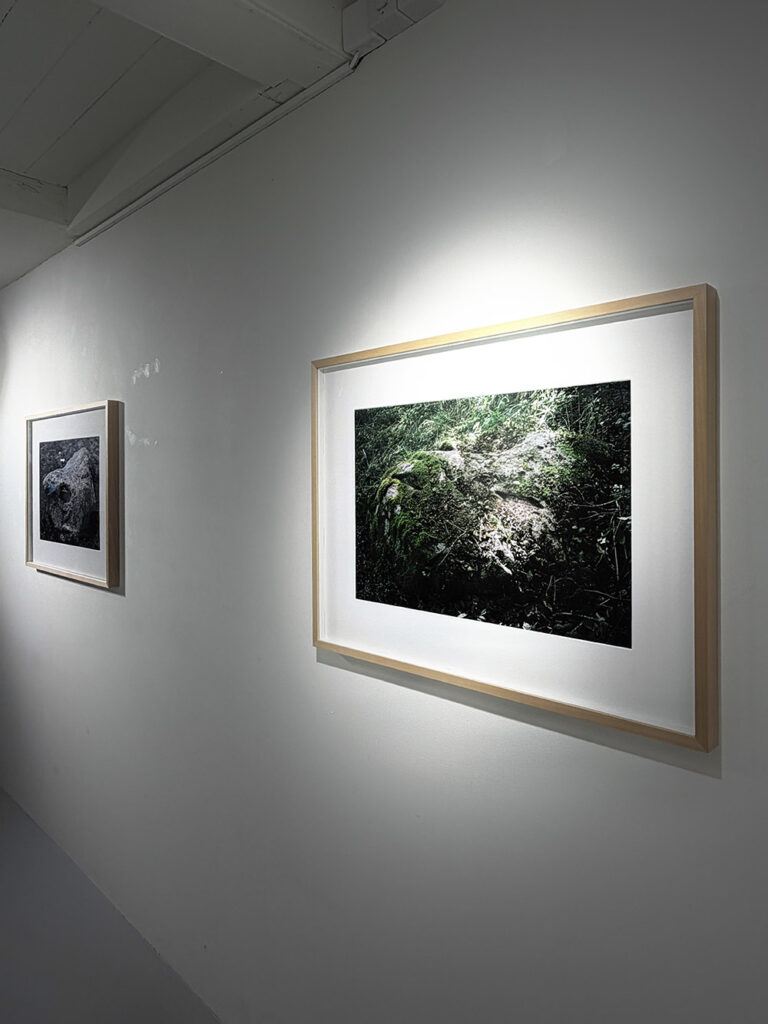 Vernissage Einzelausstellung von Deimantas Narkevičius Pascal Robert Gallery