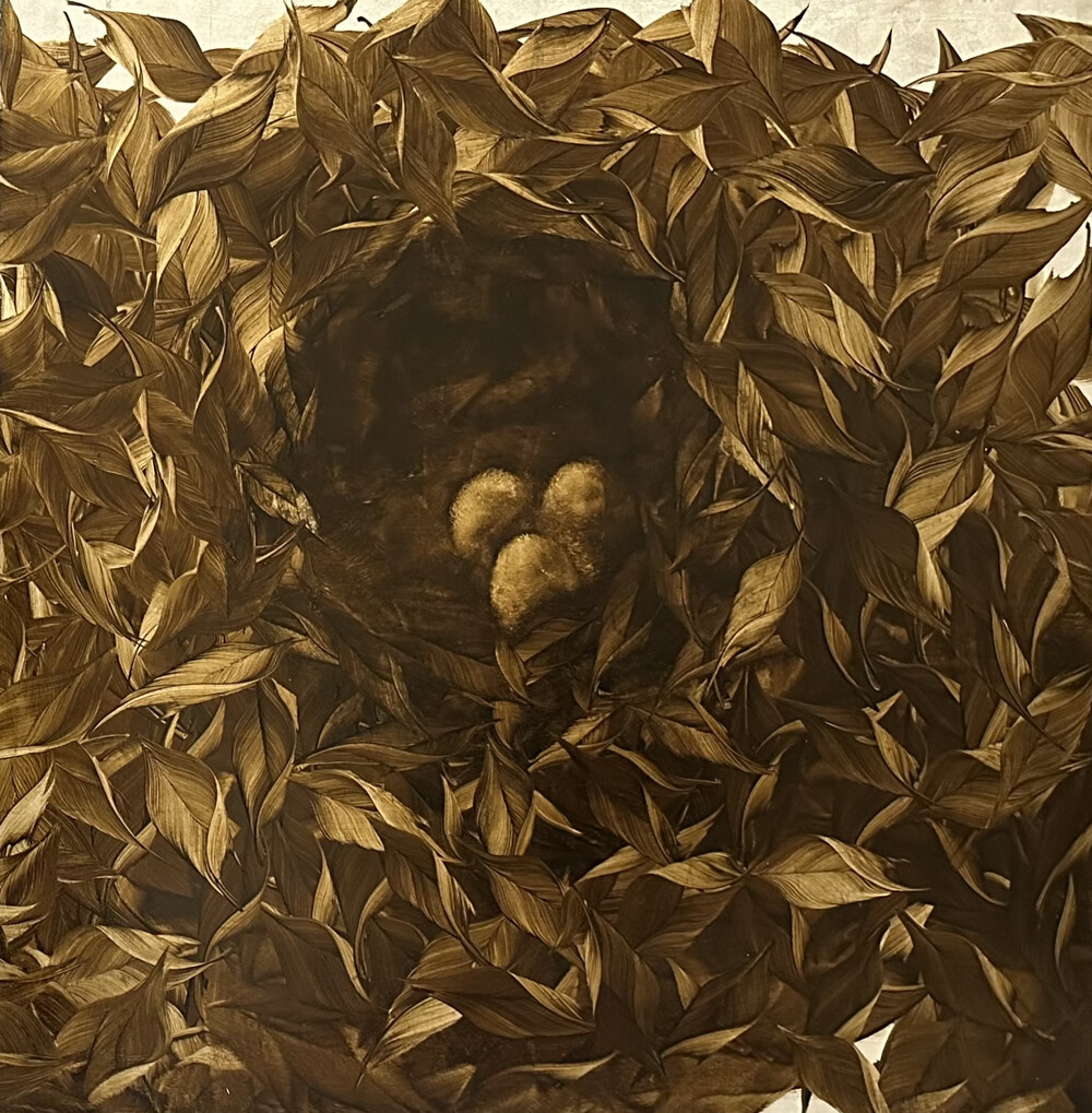 Elena Lagun Nest