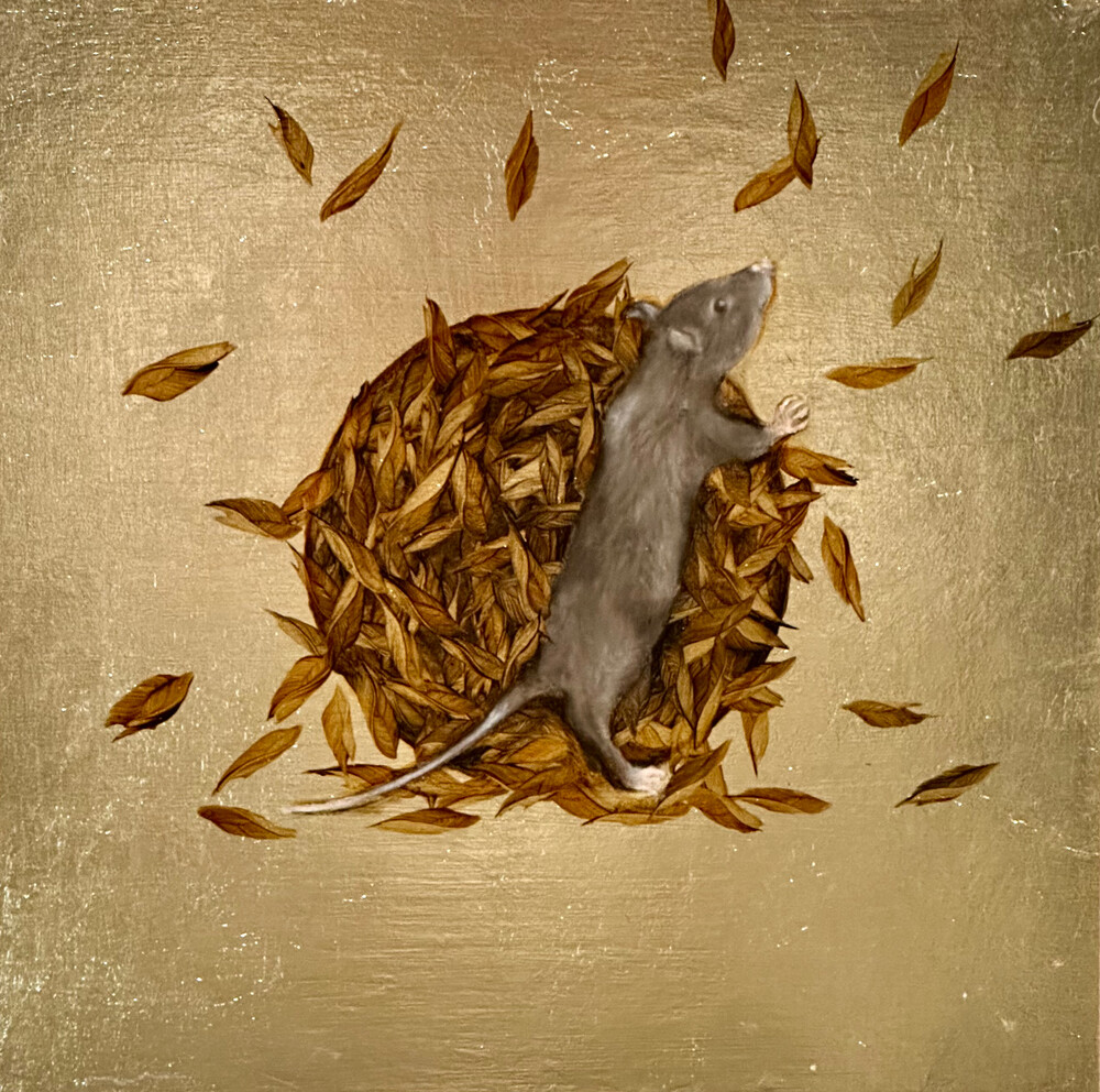 Elena Lagun Maus