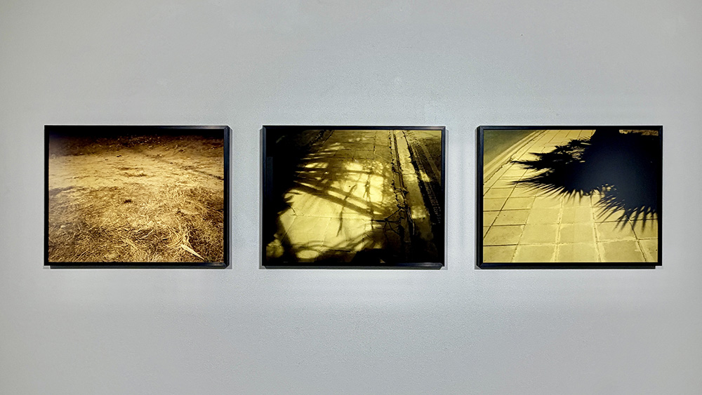 Pascal Robert Gallery Selini Demetriou · Frederick Terpstra · Seol Kwon What remains unseen