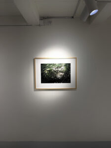 Deimantas Narkevičius – Imprints bei Pascal Robert Gallery